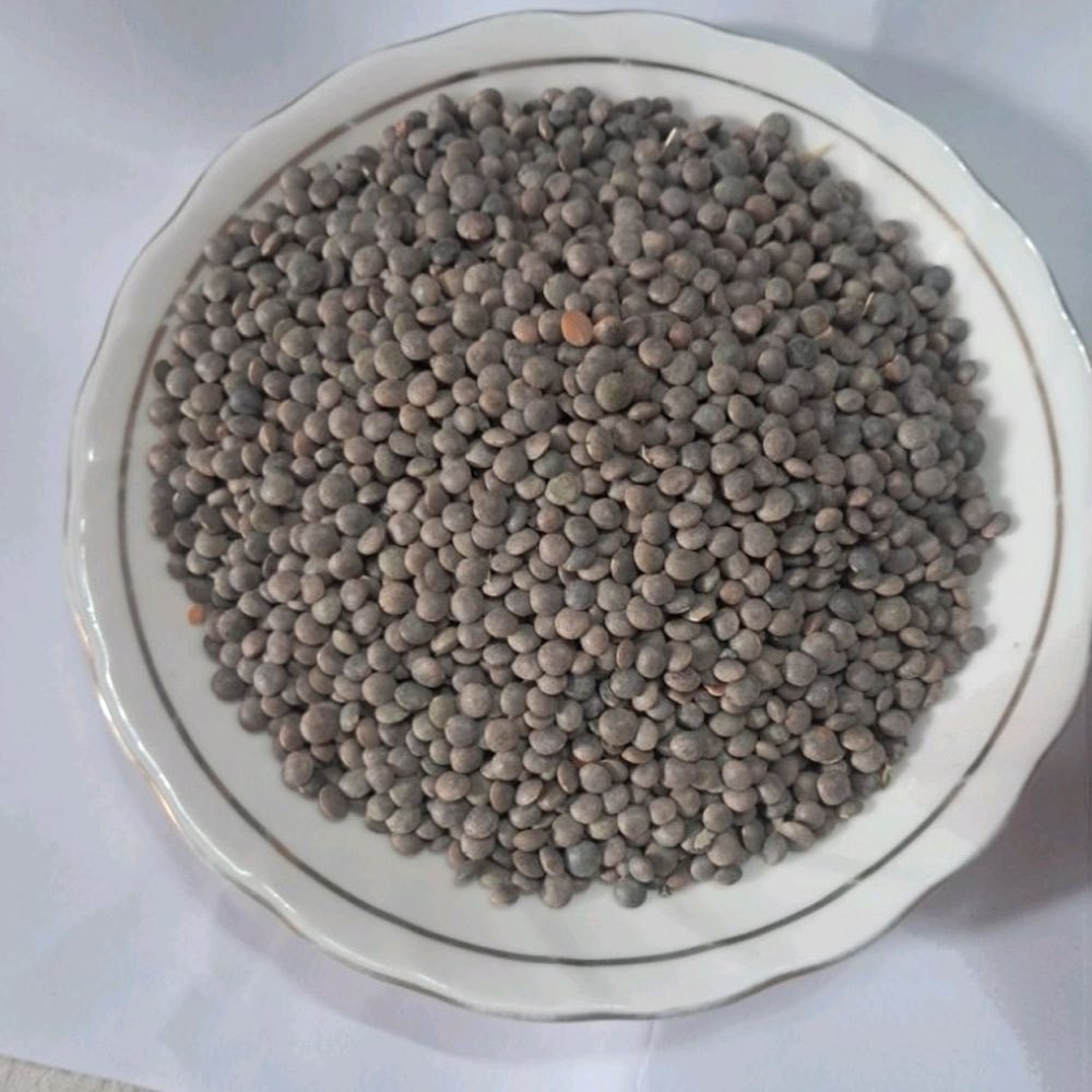 ST Malaka Masoor daal 1kg