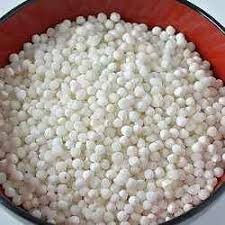 ST Sachamoti Sabudana 500gm